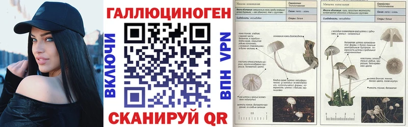 где продают наркотики  Струнино  Галлюциногенные грибы Psilocybine cubensis 
